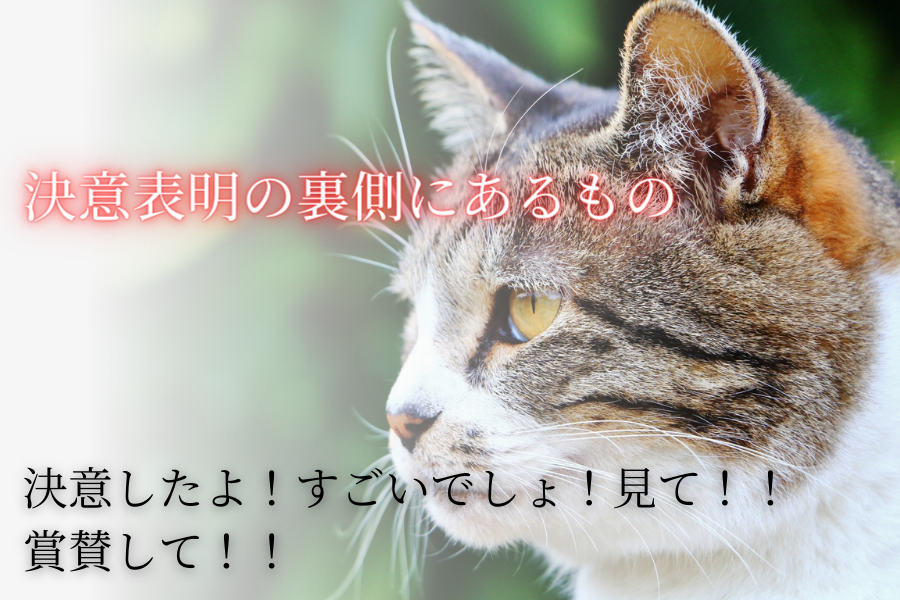 決意表明の裏側にあるもの〜決意したよ!すごいでしょ!見て!!賞賛して!!〜 – 情熱実現サイト